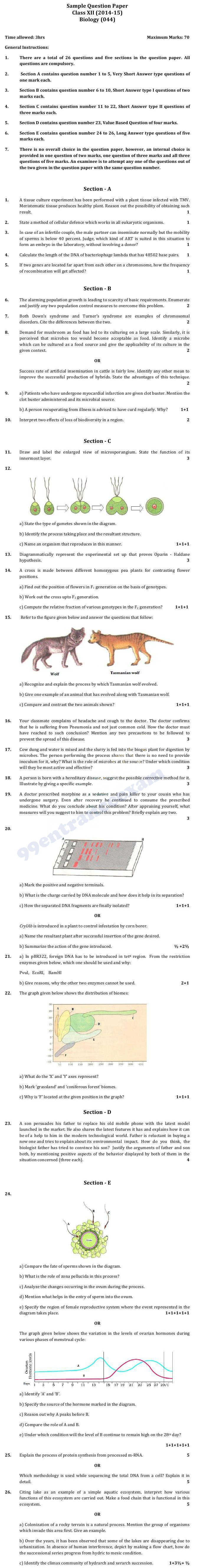 biology essays 2022