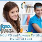 IGNOU cyber law