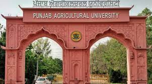 Punjab Agriculture University