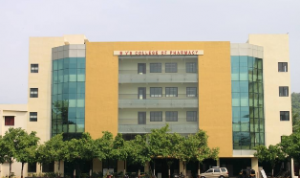 Bharati Vidyapeeths College of Pharmacy